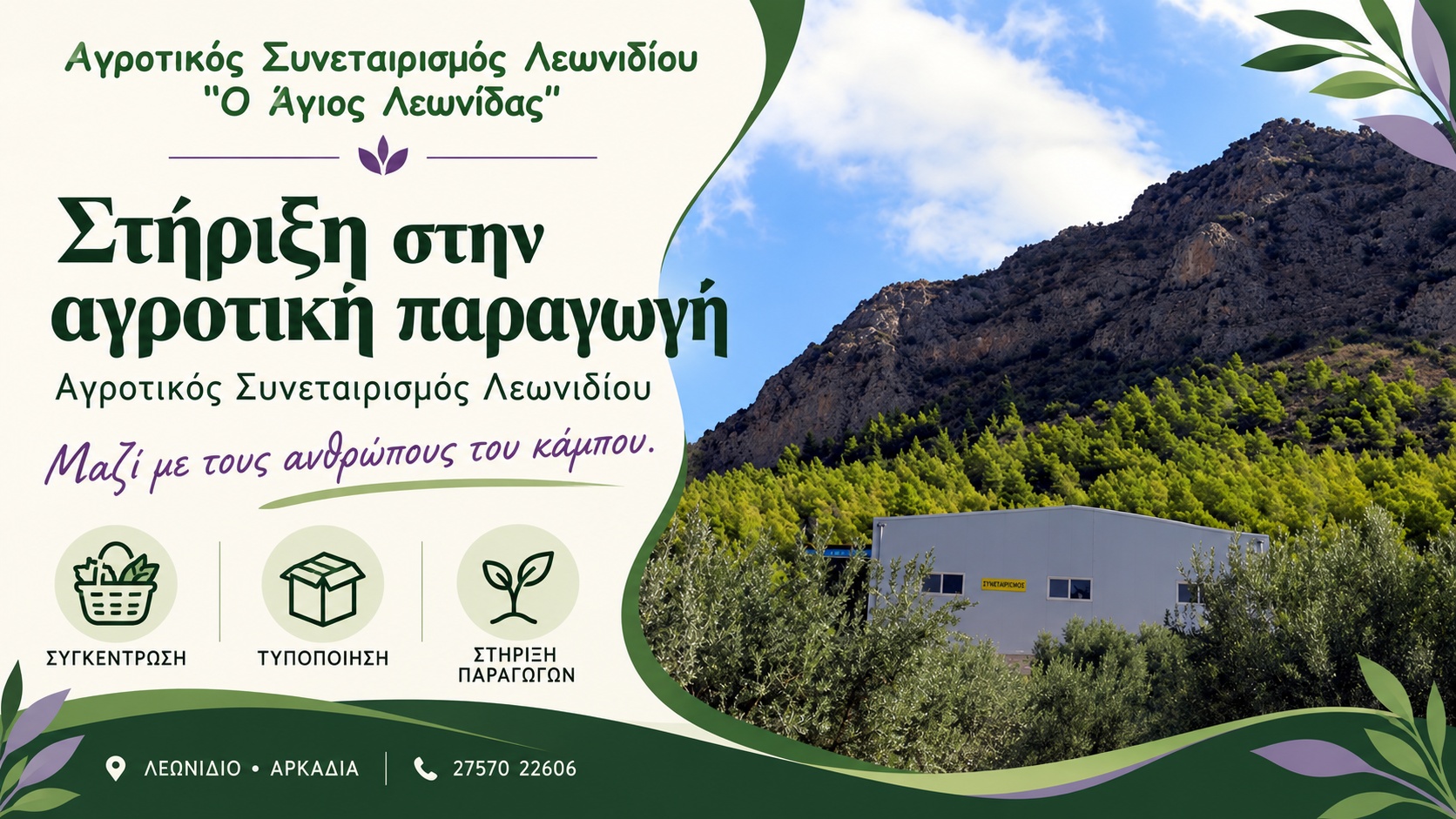 Τοπικά προϊόντα Λεωνιδίου | Αγροτικός Συνεταιρισμός «Ο Άγιος Λεωνίδας» | Εγκαταστάσεις