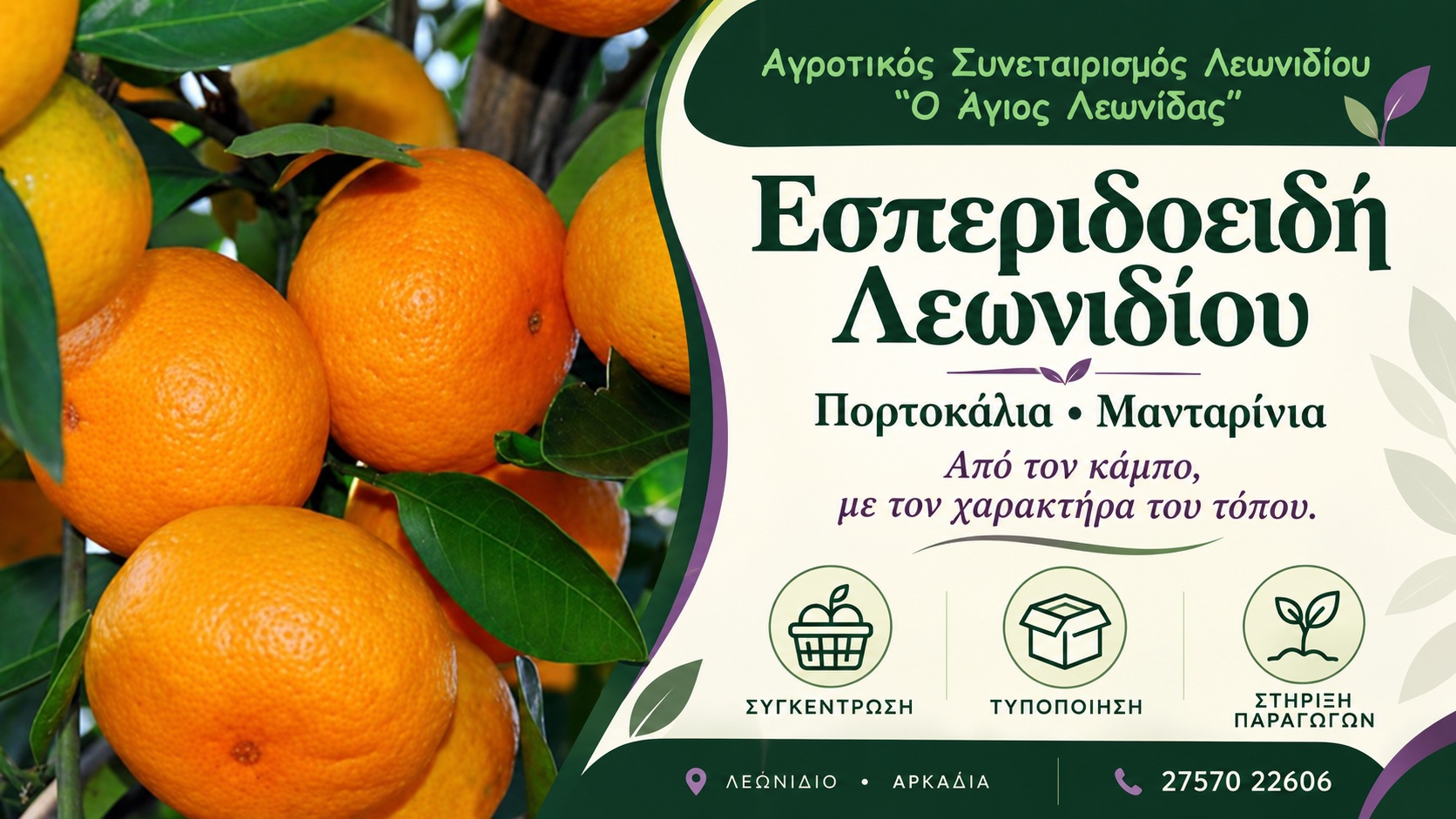 Τοπικά προϊόντα Λεωνιδίου | Αγροτικός Συνεταιρισμός «Ο Άγιος Λεωνίδας» | Εσπεριδοειδή